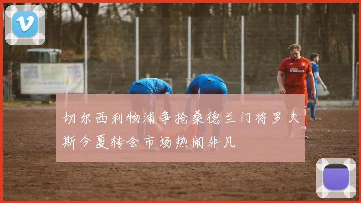 切尔西利物浦争抢桑德兰门将罗夫斯今夏转会市场热闹非凡